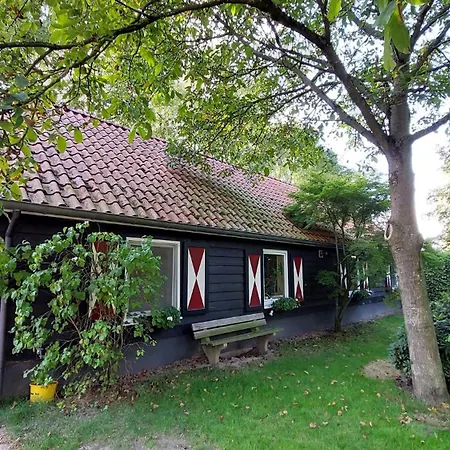 De Bloesem B&B 룬터렌