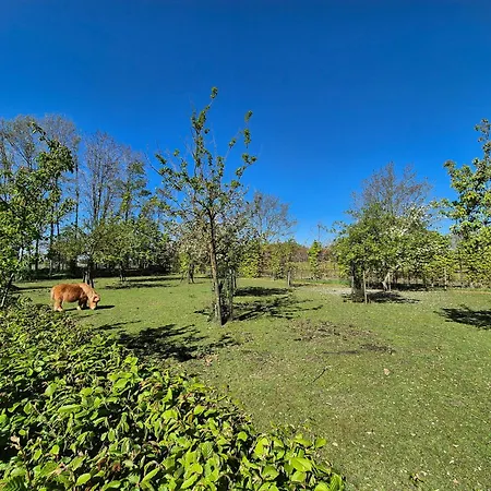Bed & Breakfast De Bloesem Prive *